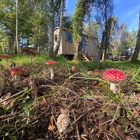 Sapphire Forest Garden Shepherd'S Hut チャーチ・ストレットン エクステリア 写真