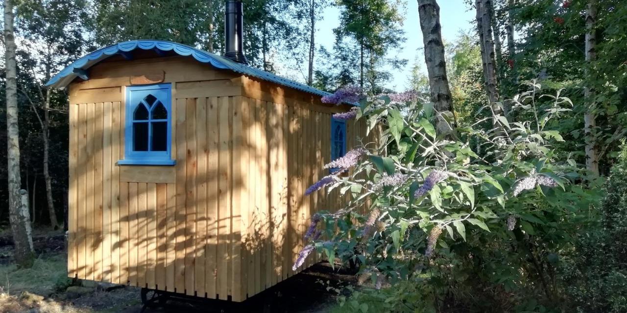 Sapphire Forest Garden Shepherd'S Hut チャーチ・ストレットン エクステリア 写真