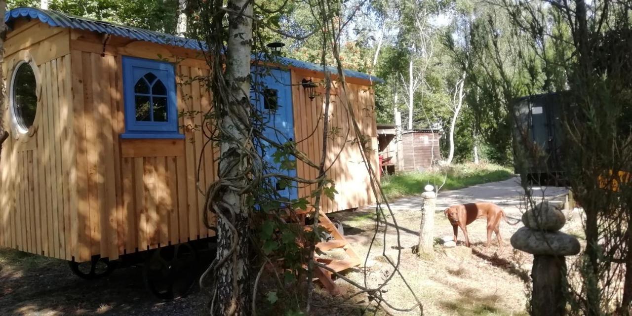 Sapphire Forest Garden Shepherd'S Hut チャーチ・ストレットン エクステリア 写真
