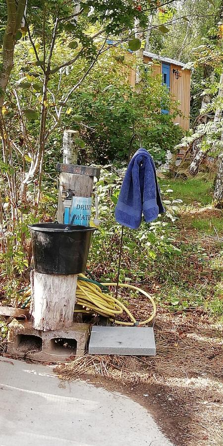 Sapphire Forest Garden Shepherd'S Hut チャーチ・ストレットン エクステリア 写真
