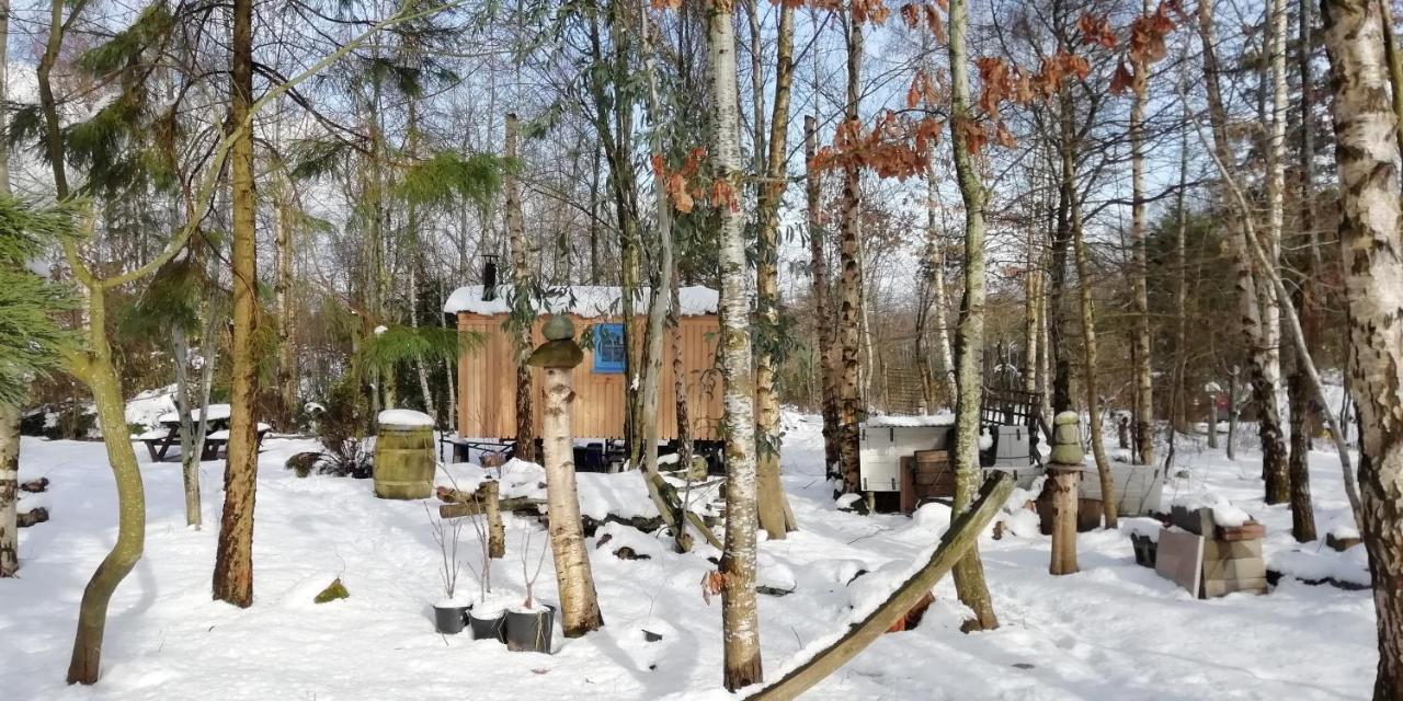 Sapphire Forest Garden Shepherd'S Hut チャーチ・ストレットン エクステリア 写真
