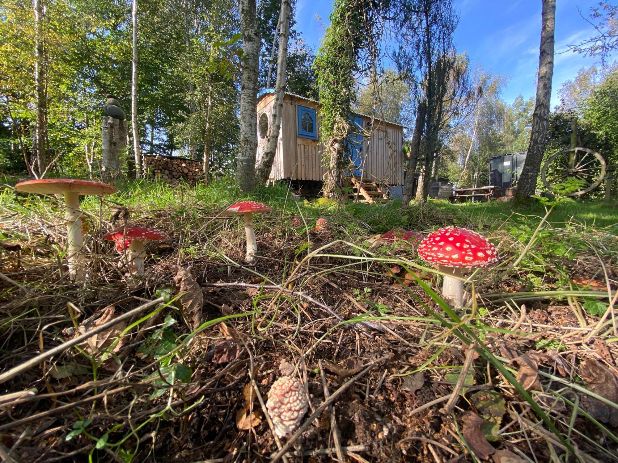 Sapphire Forest Garden Shepherd'S Hut チャーチ・ストレットン エクステリア 写真